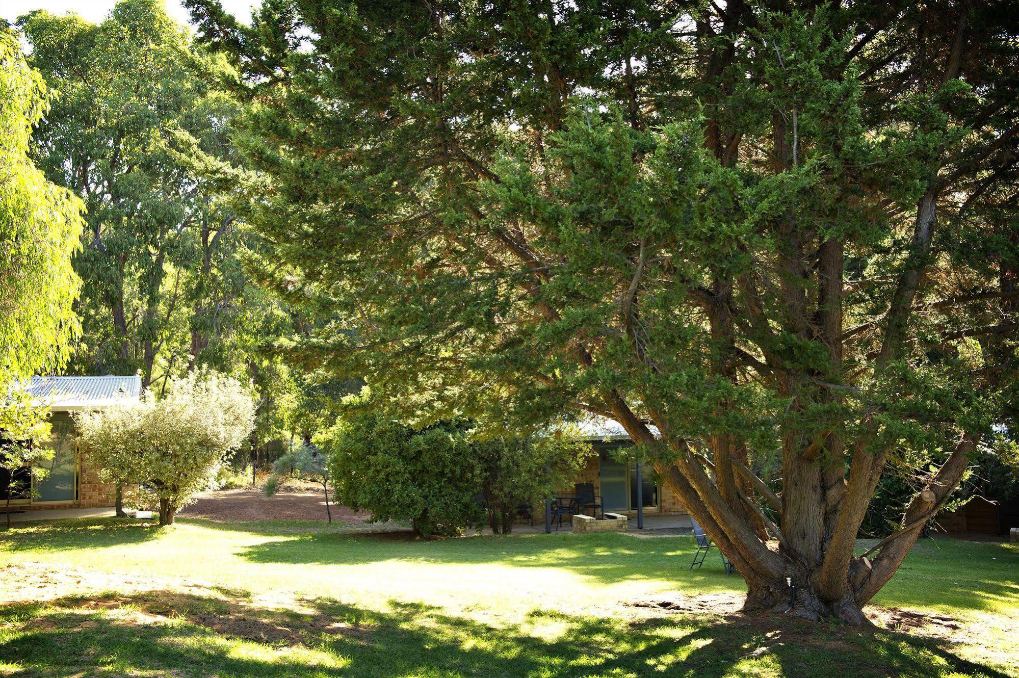 Peppermint Brook Cottages Margaret River Ngoại thất bức ảnh